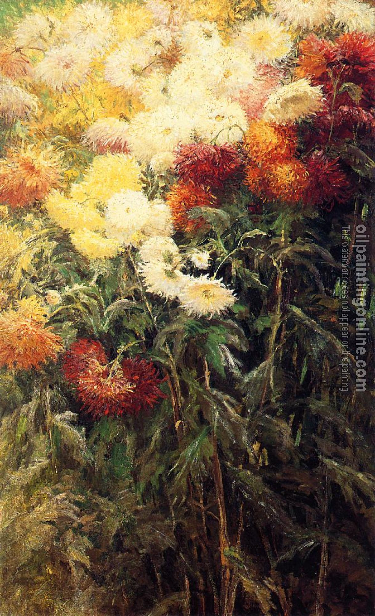 Gustave Caillebotte - Chrysanthemums Garden at Petit Gennevilliers